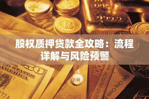 北京股权质押贷款全攻略：流程详解与风险预警