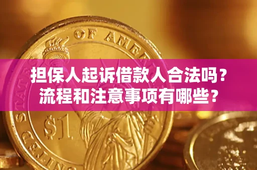 北京担保人起诉借款人合法吗？流程和注意事项有哪些？