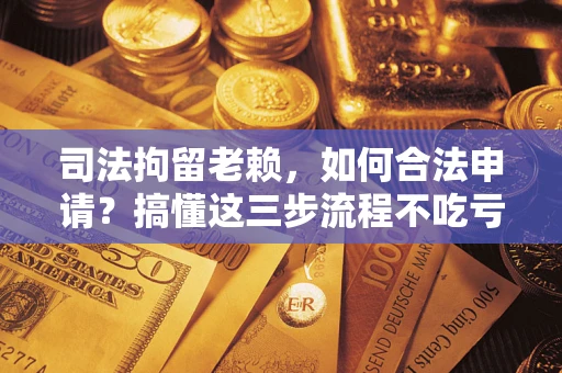 北京司法拘留老赖，如何合法申请？搞懂这三步流程不吃亏！
