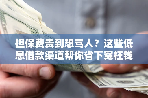 北京担保费贵到想骂人？这些低息借款渠道帮你省下冤枉钱